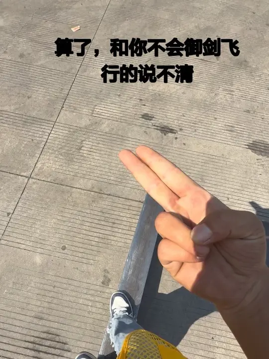 不装了，摊牌了我先飞为敬 像我这种能御剑的修为属于什么期了？ #御剑飞行