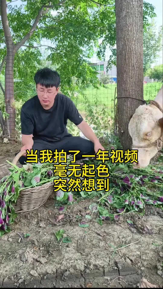 我就不能火一把吗#村干部日常 #自媒体创业 #搞笑反差#乡村生活  @周槿源