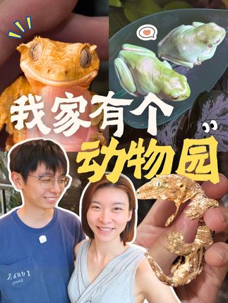 素材 #88