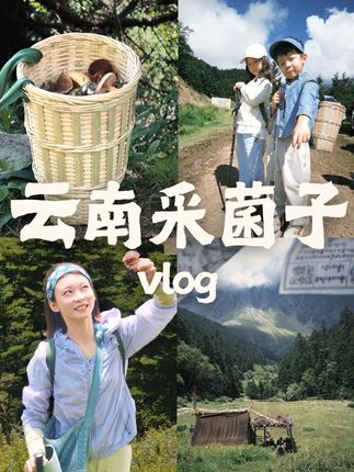 素材 #100